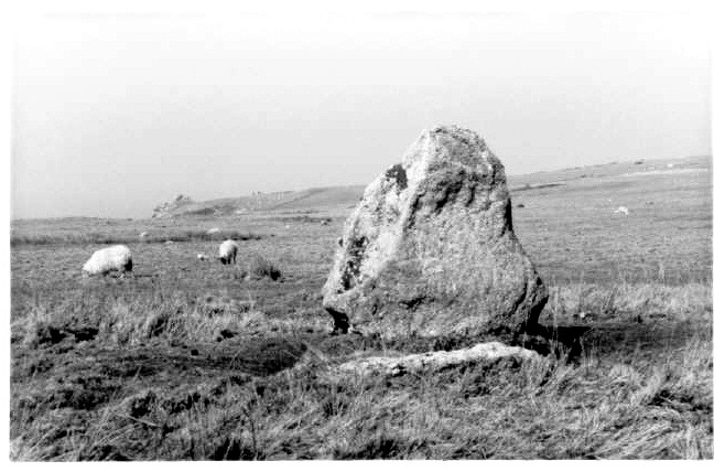 Ackland's Moor Standing Stones (Standing Stones) by pure joy