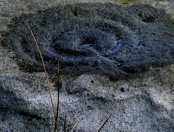 Green Gates (Cup and Ring Marks / Rock Art) by greywether