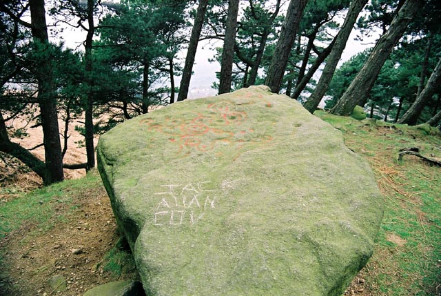 Willy Hall's Wood Stone (Cup and Ring Marks / Rock Art) by Kozmik_Ken