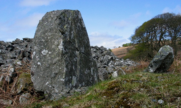 Boreland (Chambered Cairn) by greywether