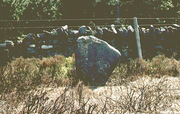Thimbleby Moor Nine Stones (Stone Circle) by fitzcoraldo