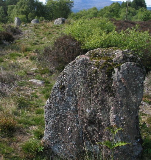 Lamlash (Stone Circle) by greywether
