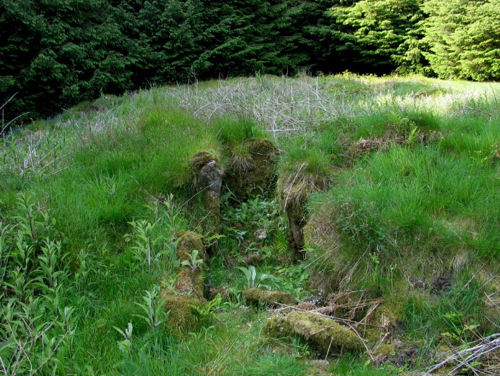 Dunan Beag (Chambered Cairn) by greywether