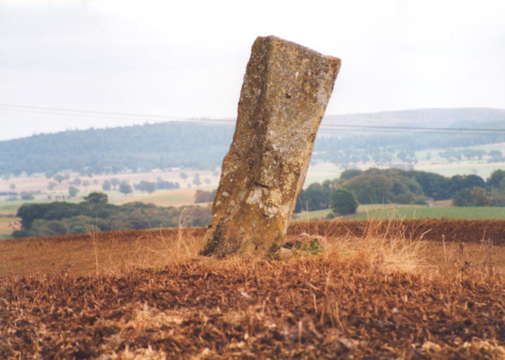 Airlie (Standing Stone / Menhir) by BigSweetie