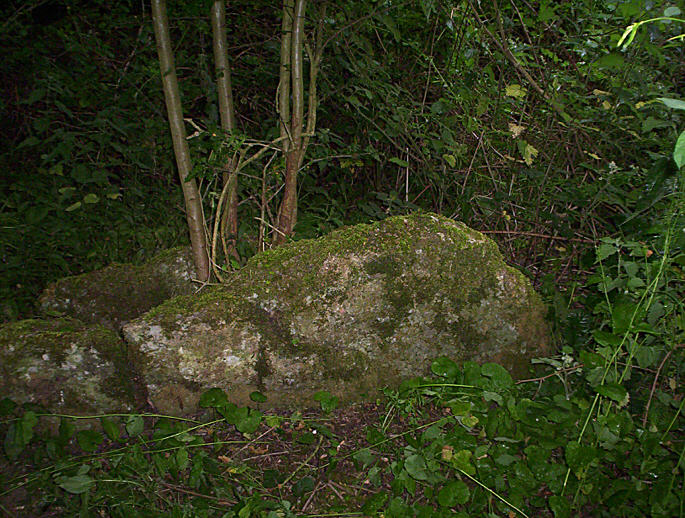The Giant's Stone (Long Barrow) by hamish