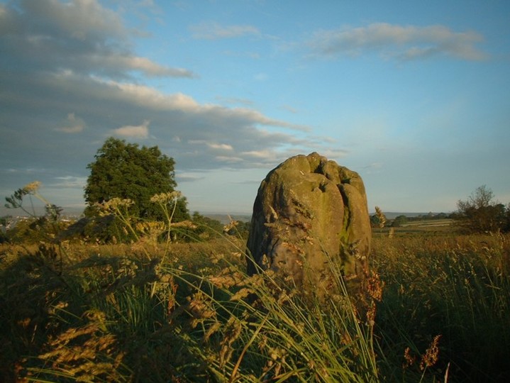 Bull Stone (Standing Stone / Menhir) by David Raven