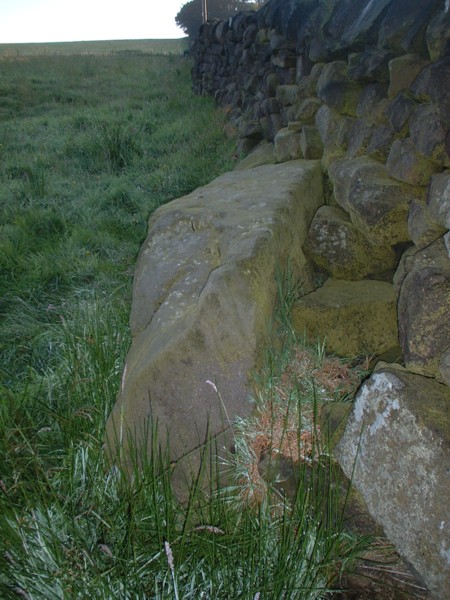 Bull Stone (Standing Stone / Menhir) by MarionBenham
