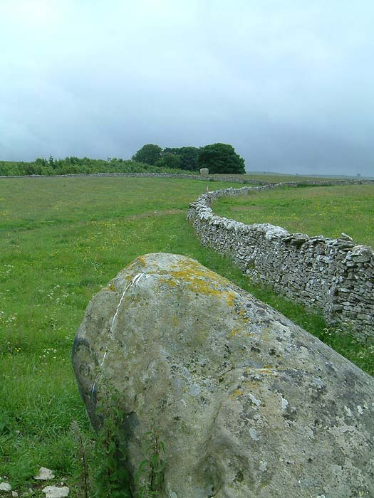 Aspers Field (Standing Stone / Menhir) by stubob