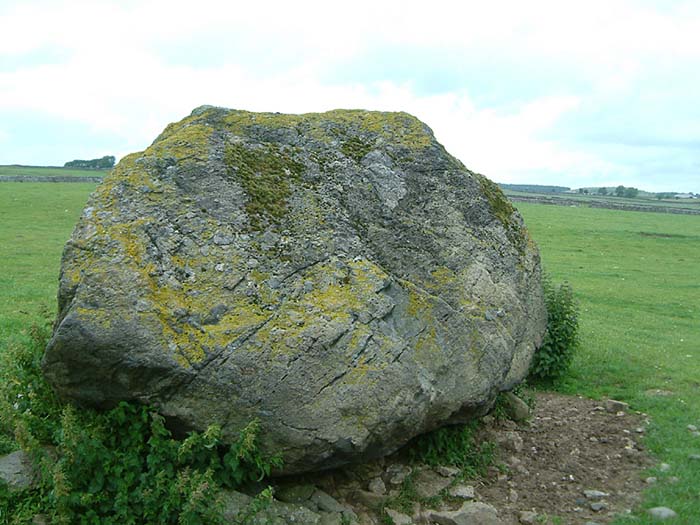 Thunder Stone (Standing Stone / Menhir) by stubob