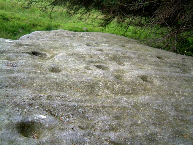 Fontburn (b) (Cup and Ring Marks / Rock Art) by Hob