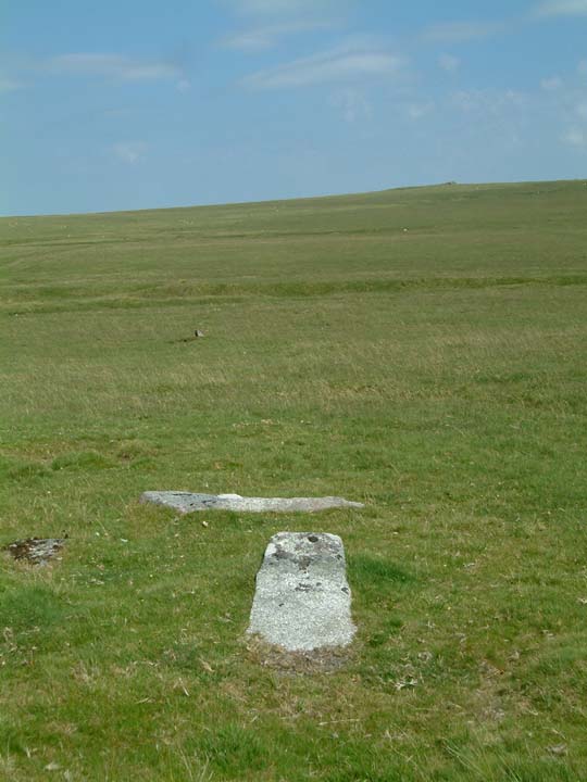 Leskernick Stone Row (Stone Row / Alignment) by Mr Hamhead