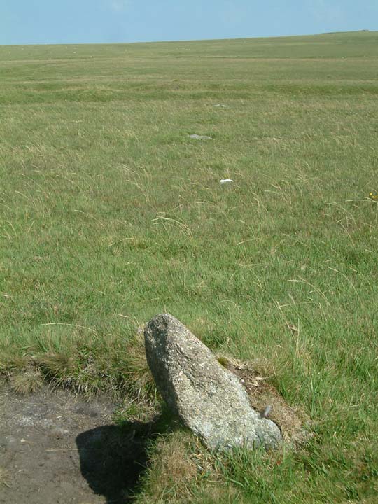 Leskernick Stone Row (Stone Row / Alignment) by Mr Hamhead