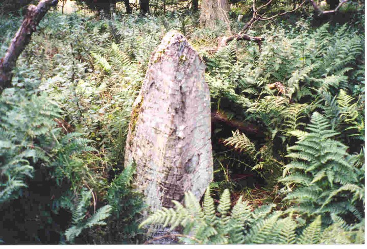 Newhouse Standing Stone (Standing Stone / Menhir) by Martin