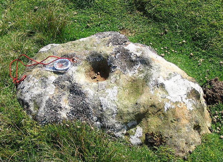 Frankinshaw Cairn (Cup Marked Stone) by fitzcoraldo