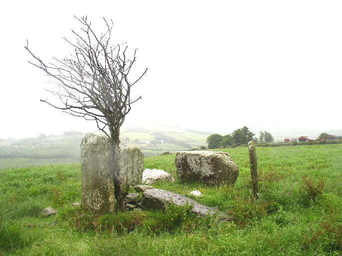 Lettergorman (South) (Stone Circle) by suave harv