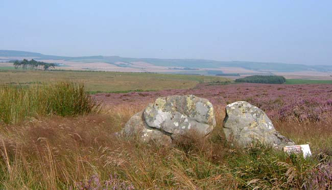Doddington Dubious Stone (Standing Stones) by Hob
