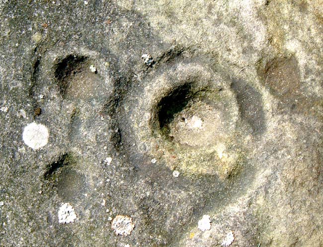 Dod Law Hillfort rock art (Cup and Ring Marks / Rock Art) by Hob