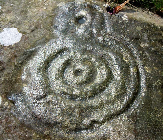 Dod Law Hillfort rock art (Cup and Ring Marks / Rock Art) by Hob