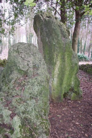The Hoar Stone (Chambered Tomb) by Jane