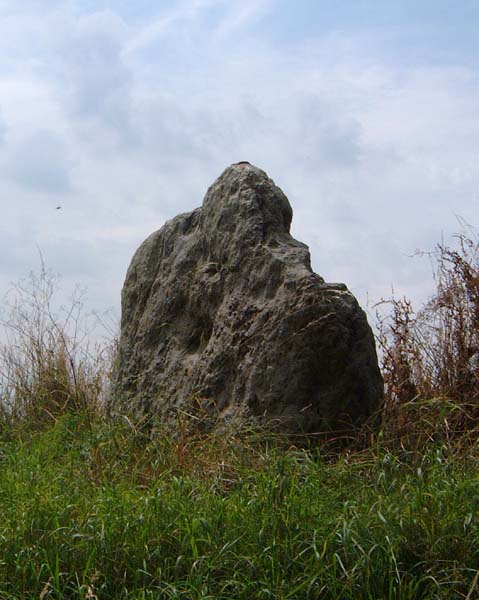 Winterbourne Bassett (Stone Circle) by Hob