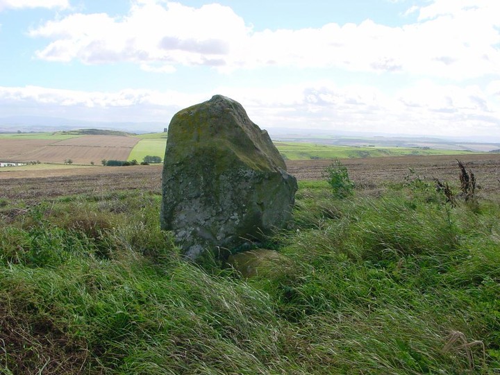 The Cow Stone (Standing Stone / Menhir) by Martin