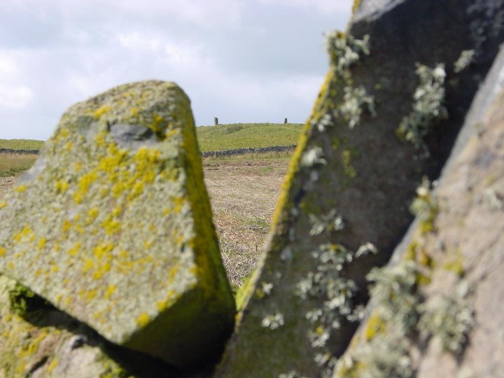 The Cow Stone (Standing Stone / Menhir) by Martin