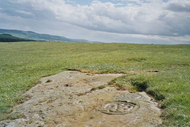 The Ringses (Cup and Ring Marks / Rock Art) by rockartuk
