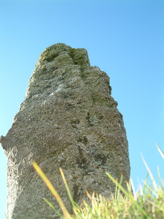 Colvannick Tor Stone Row (Stone Row / Alignment) by Mr Hamhead