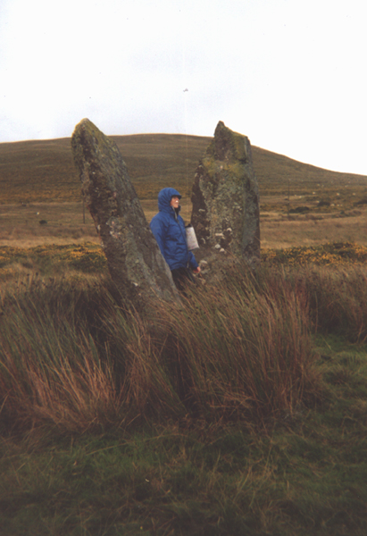 Cerrig Meibion Arthur (Standing Stones) by Merrick