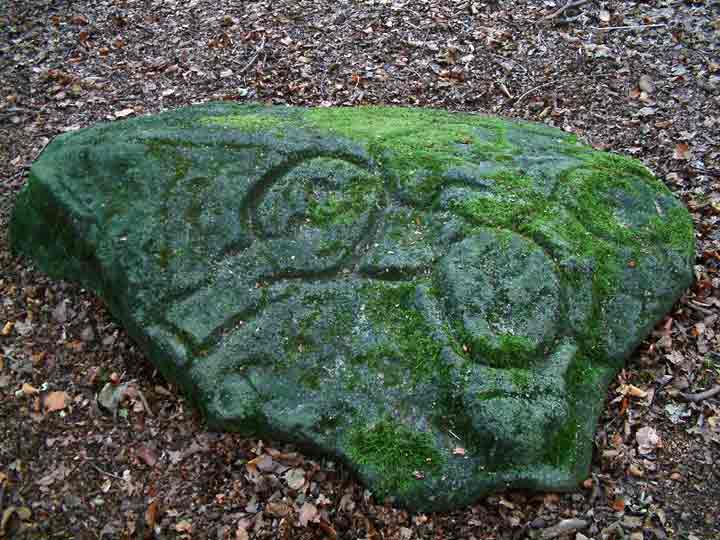 Ecclesall Woods (Cup and Ring Marks / Rock Art) by baza
