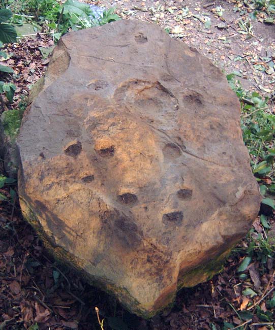 Throckley Bank Top (Cup and Ring Marks / Rock Art) by Hob