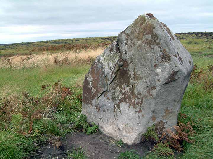 Grey Horse Stone (Standing Stone / Menhir) by stubob