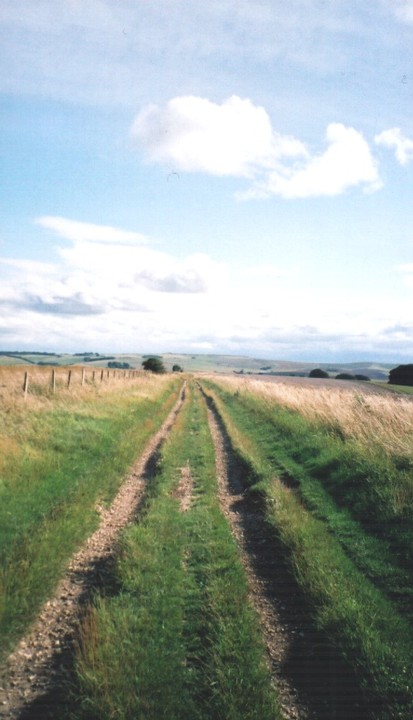 The Ridgeway (Ancient Trackway) by texlahoma