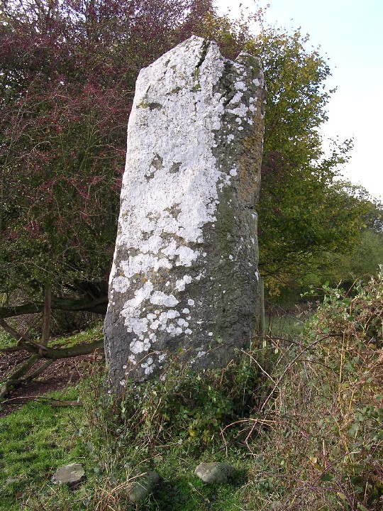Llangynidr Stone (Standing Stone / Menhir) by elderford