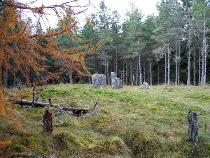 Clachan An Diridh (Stone Circle) by Ian Murray