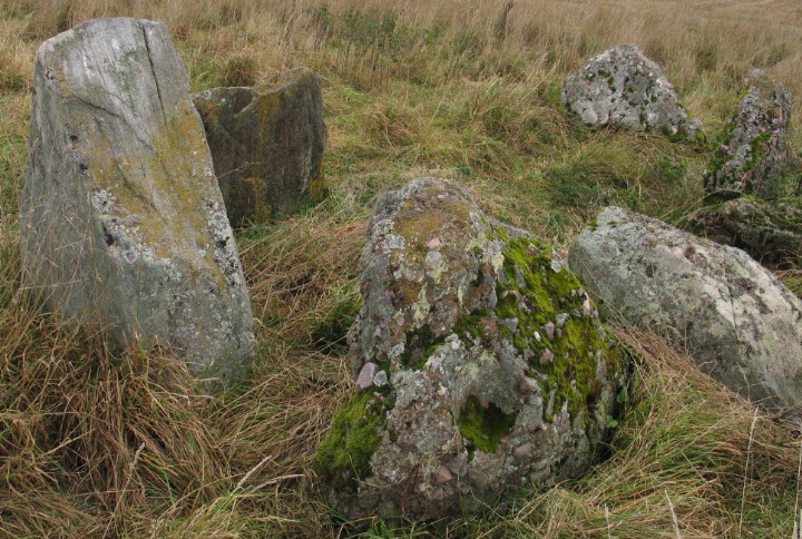Belmaduthy (Chambered Cairn) by greywether