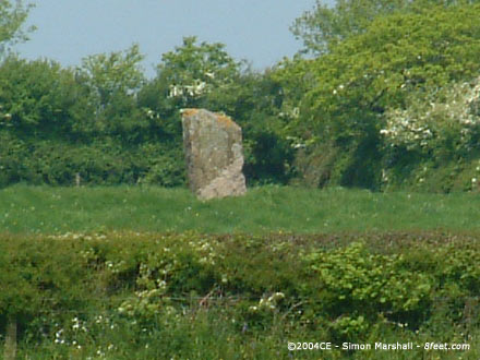 Maen Llwyd (Llangendeirne) (Standing Stone / Menhir) by Kammer