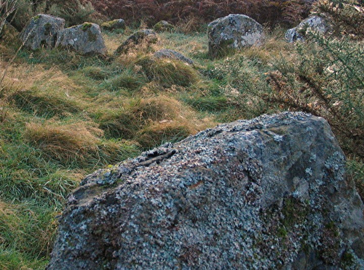 Kinchyle of Dores (Clava Cairn) by greywether