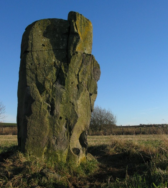 Stane Park (Standing Stone / Menhir) by greywether