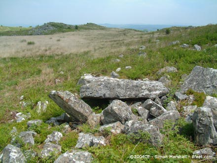 Mynydd Llangynderyrn Burial Chambers (Burial Chamber) by Kammer