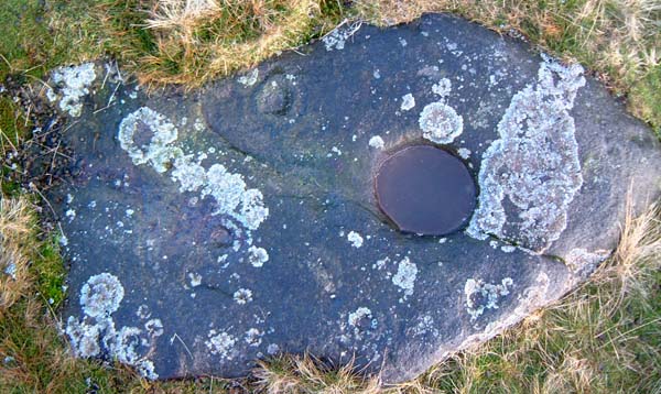 Eel Hill (Cup and Ring Marks / Rock Art) by Hob