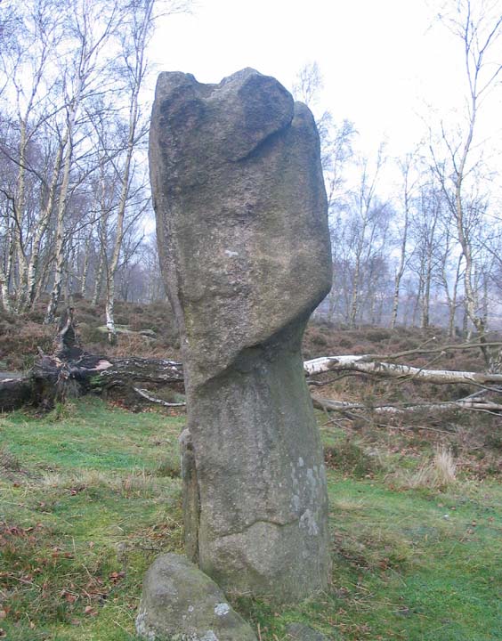 Gardoms Standing Stone (Standing Stone / Menhir) by fitzcoraldo