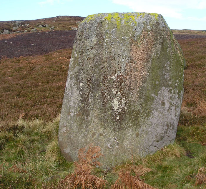 Sack Stone (Standing Stone / Menhir) by tiompan