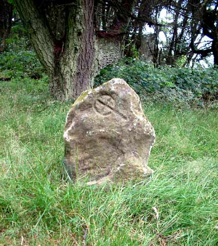 Culbone Stone (Christianised Site) by baza