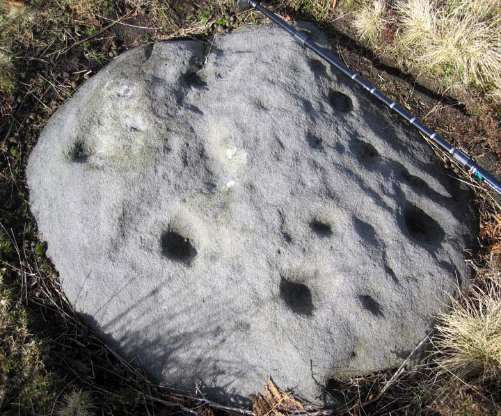 Chirnells Moor, Thropton (Cup and Ring Marks / Rock Art) by rockandy
