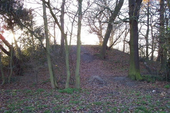 Morden Park Mound (Round Barrow(s)) by Jonnee23