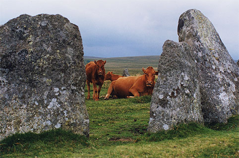 Scorhill (Stone Circle) by jimmyd