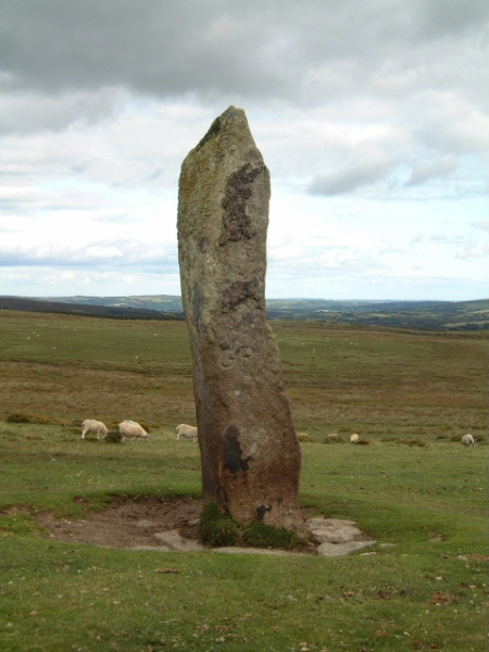 Shovel Down & The Long Stone (Multiple Stone Rows / Avenue) by moey