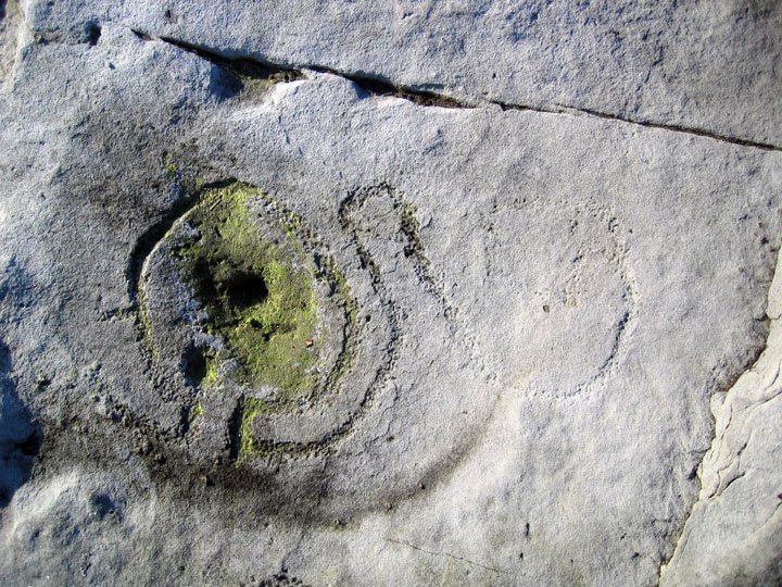 Hunterheugh 1 (Cup and Ring Marks / Rock Art) by rockandy