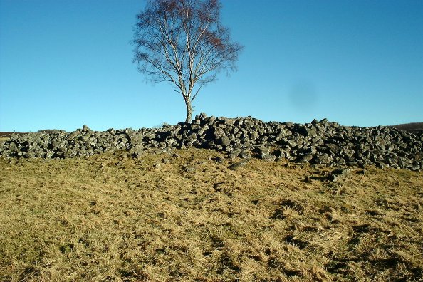 Balnabroich (Stone Circle) by nickbrand